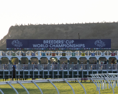 Breeders’ Cup 2025 - News, Results And Entries | Daily Racing Form